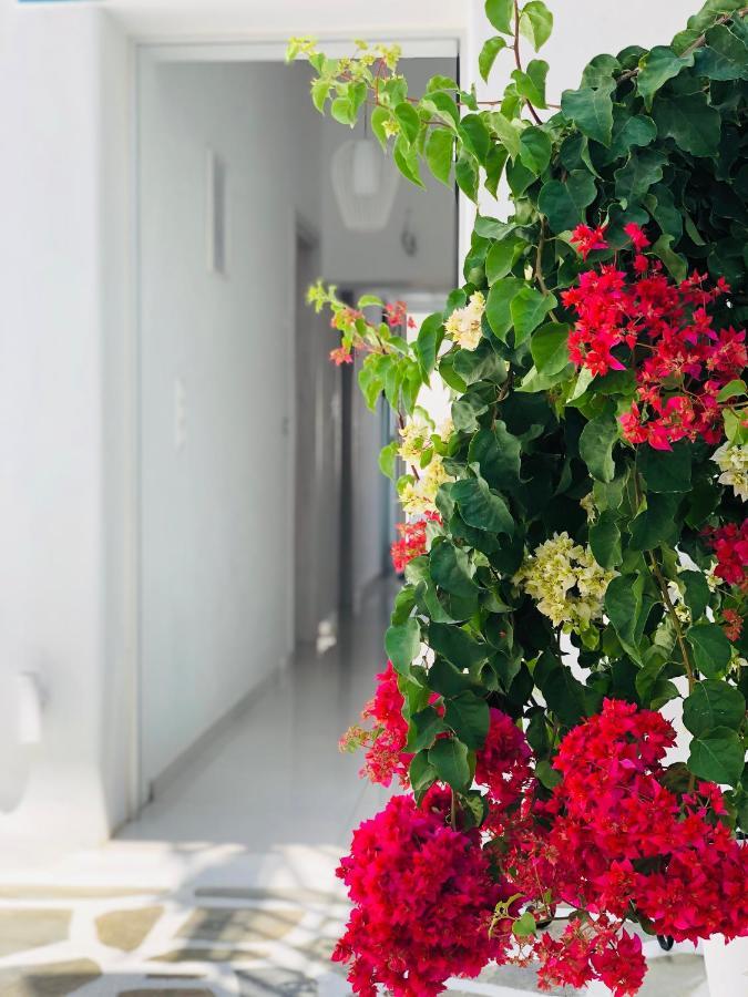 Bed and Breakfast Taki'S Guests Naxos City Exteriér fotografie